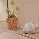 Appartement Braeuer